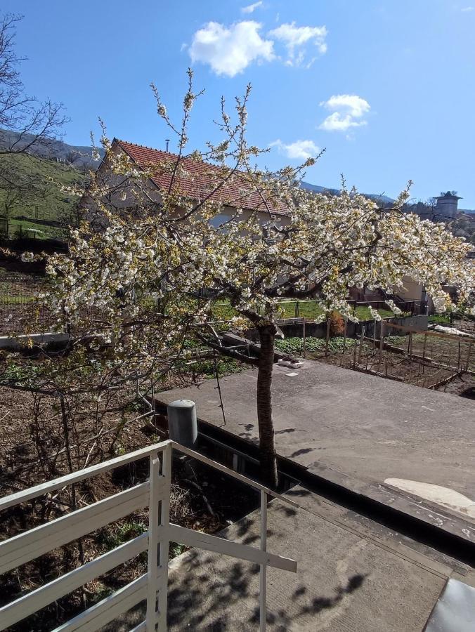 Apartman Bor Livno Exteriör bild