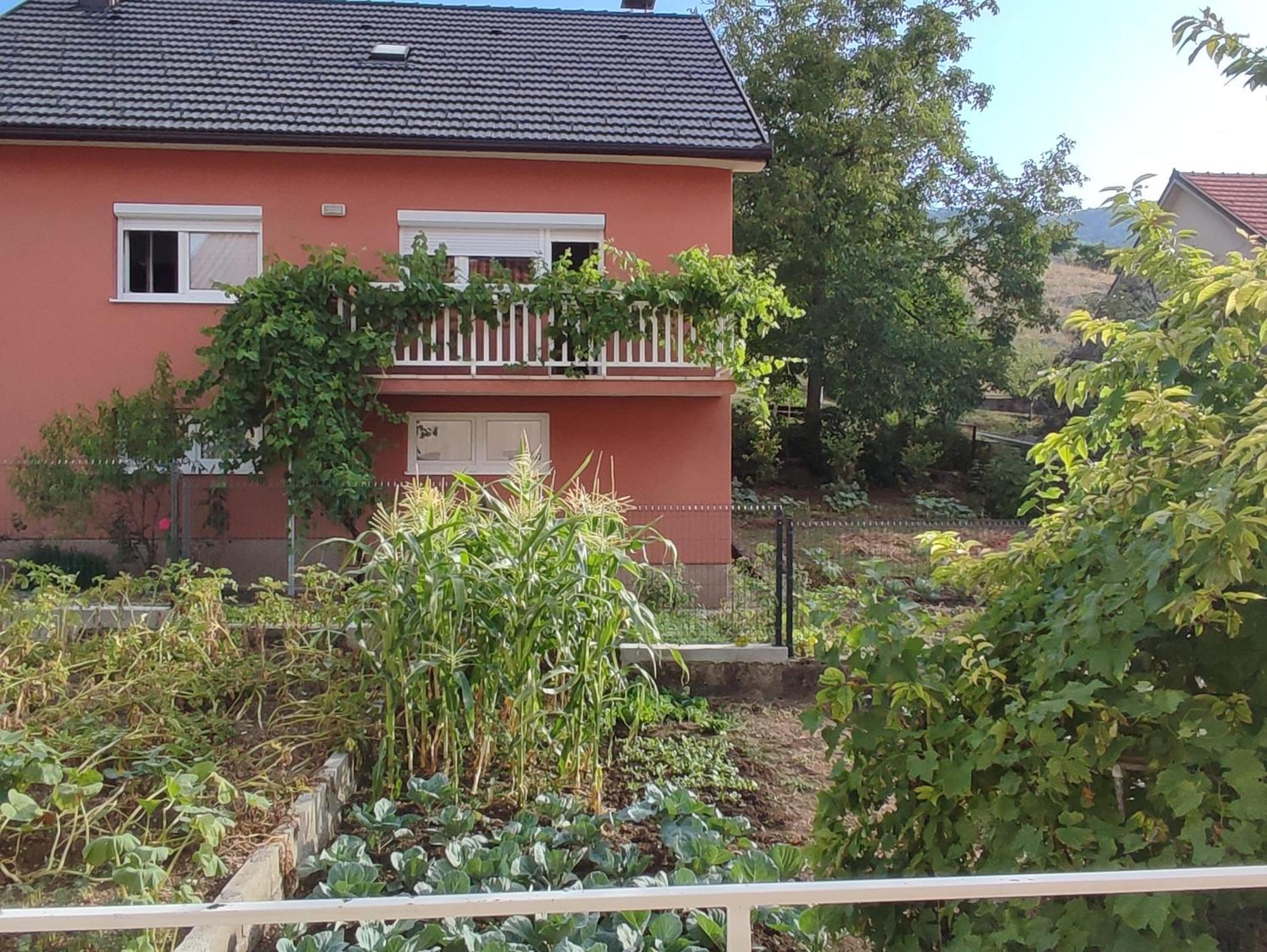 Apartman Bor Livno Exteriör bild